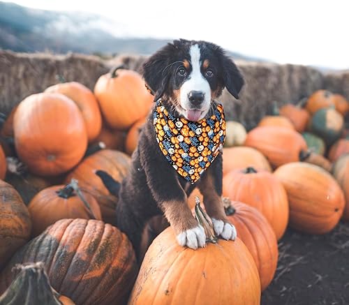 Miniatura 4 de Tunkoo Pañuelo para perro de Happy Halloween, bufanda súper linda para perro, duradera y elegante, ajustable para niñas o niños, pañuelo cuadrado