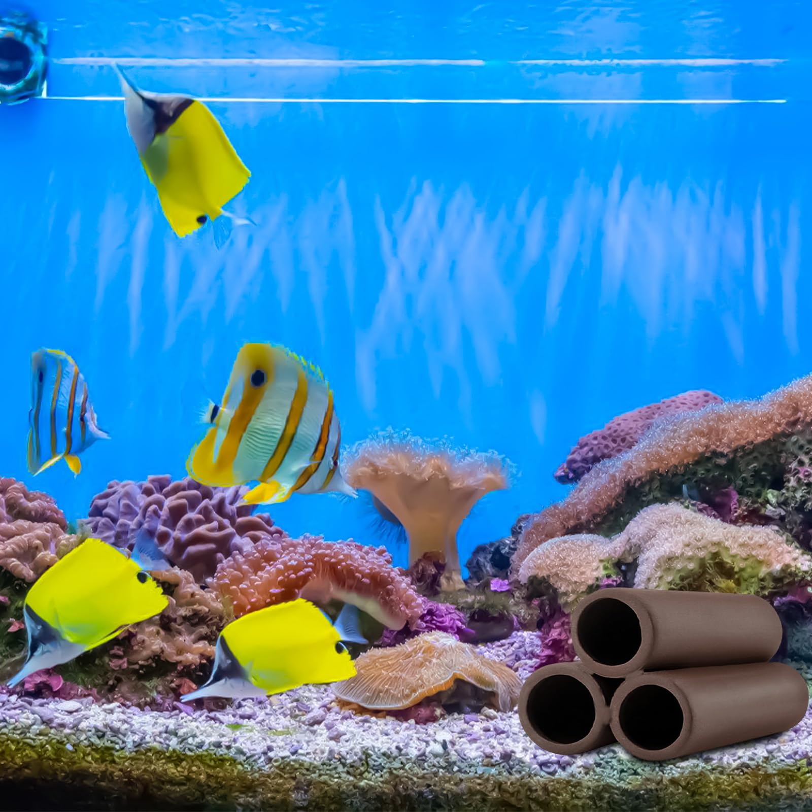 BAIFULAI Lot de 4 cachettes en céramique pour aquarium, accessoire de réservoir de poissons, décoration d'aquarium, grotte pour crevettes, poissons, crevettes, cavité en céramique pour aquarium