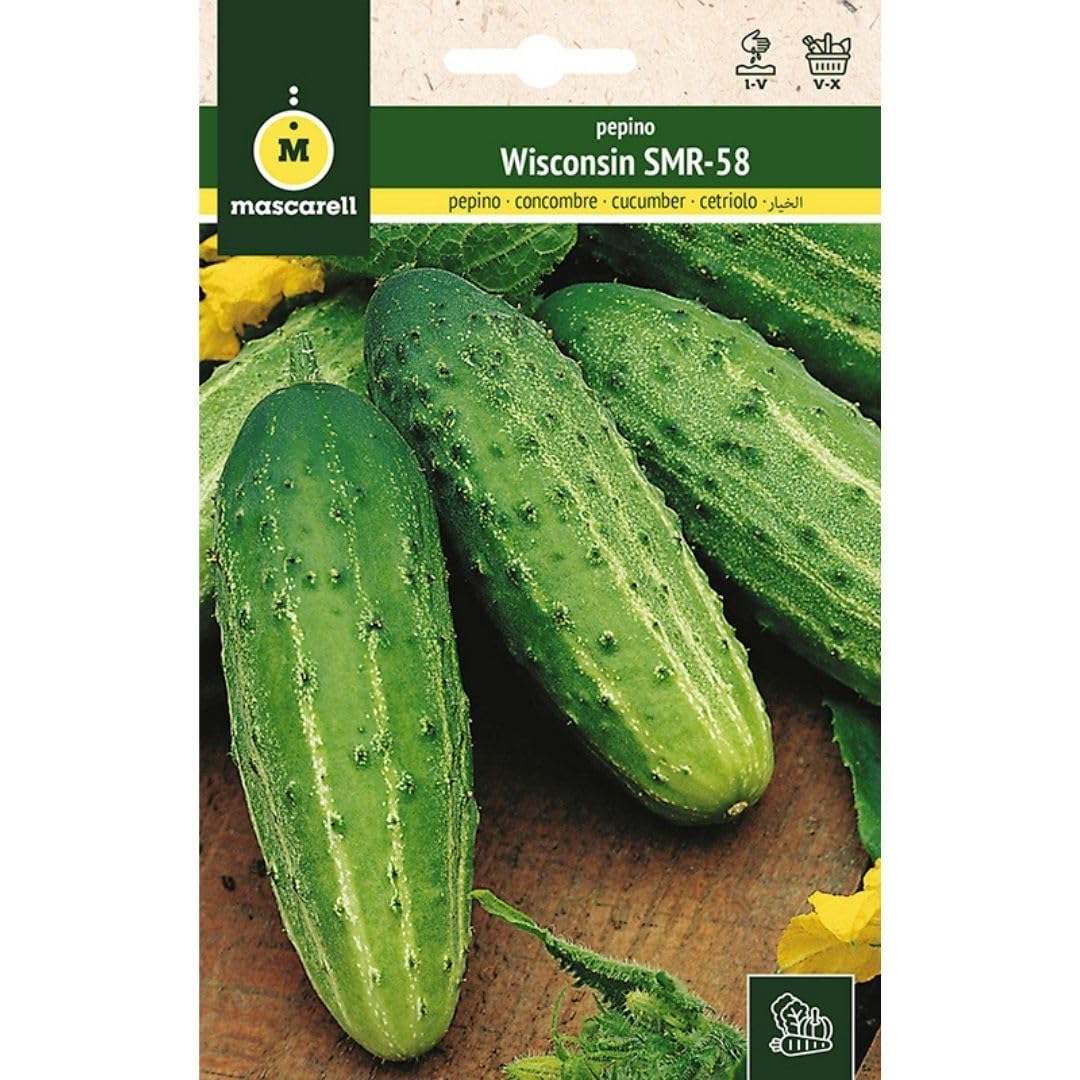 Mascarell Semillas, PEPINO, Semillas Huerto, PEPINO WISCONSIN SMR-58, Crea tu Propio Huerto Urbano y Cultivo en Casa, Plantas Hortícolas, 5 Gramos
