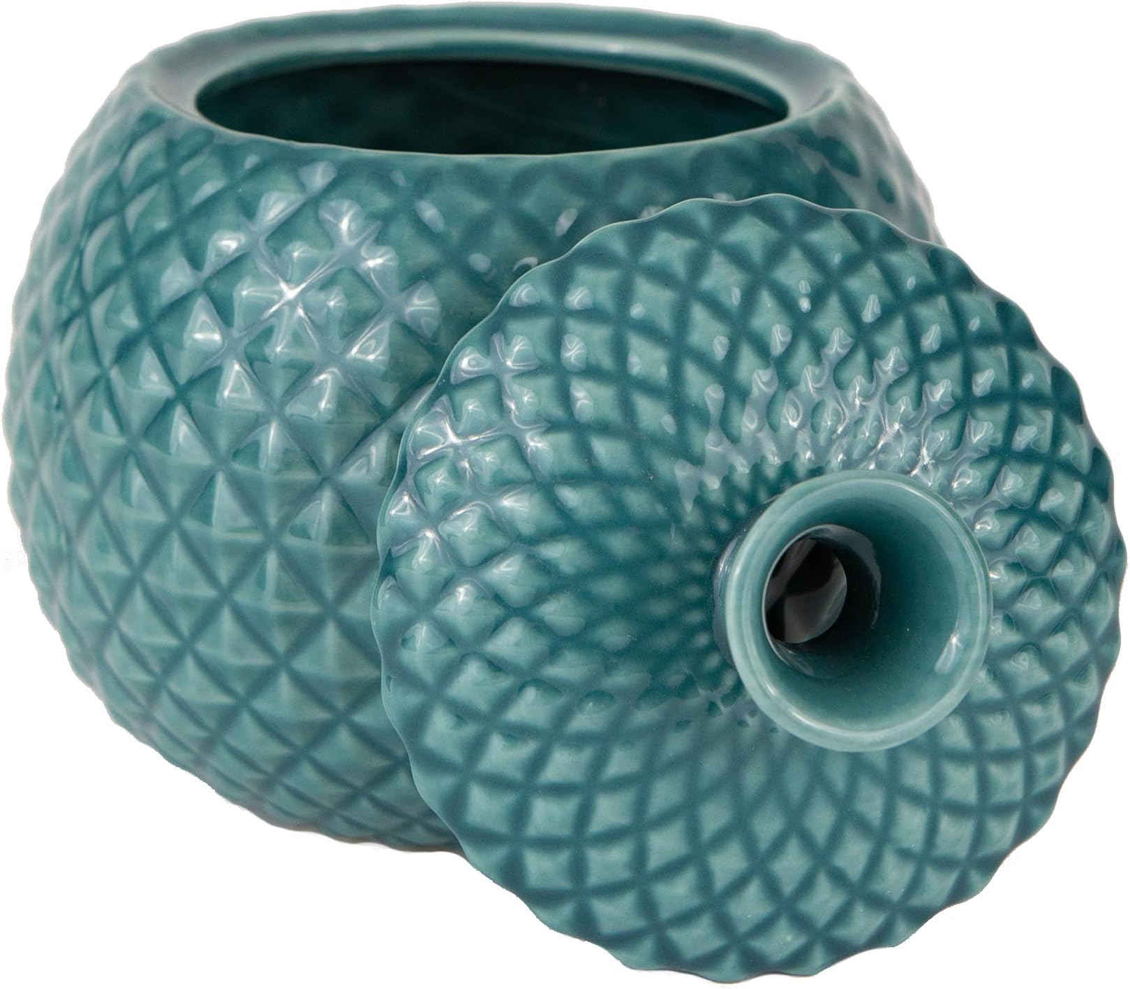 Fruit Fly Jar Trap for Home Kitchens - Decorative, Effective, Kid and Pet Friendly (Turquoise)