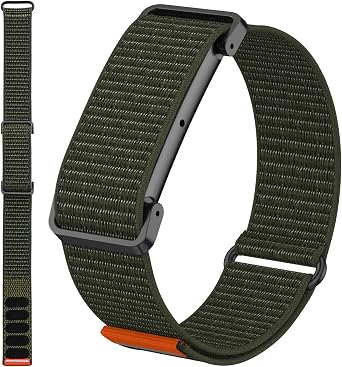 Google Fitbit Air