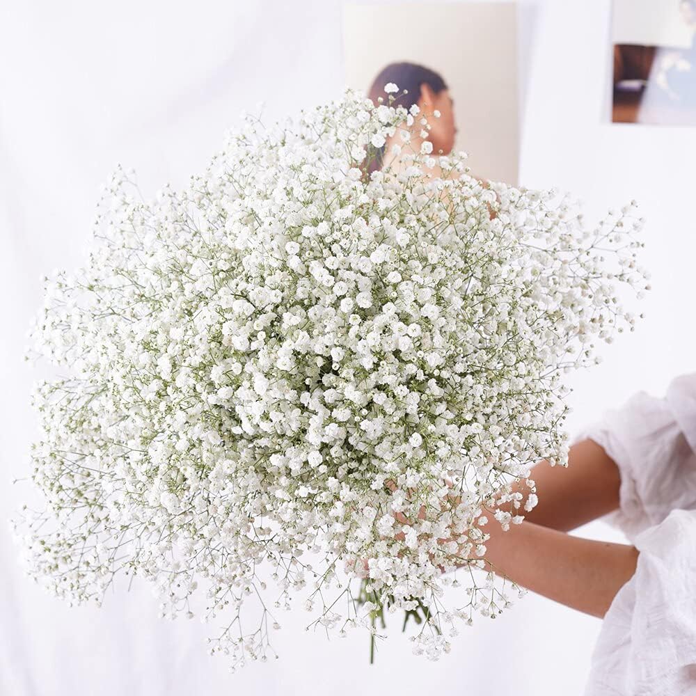 Gypsophila Paniculata Natural Dried Flowers Bouquet Preserved for Home Decoration and Wedding Party (White, 30-40cm, 30g)