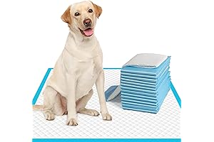 IMMCUTE Extra Large Dog Pee Pads for Large Dogs: Your Housebreaking Essentials
