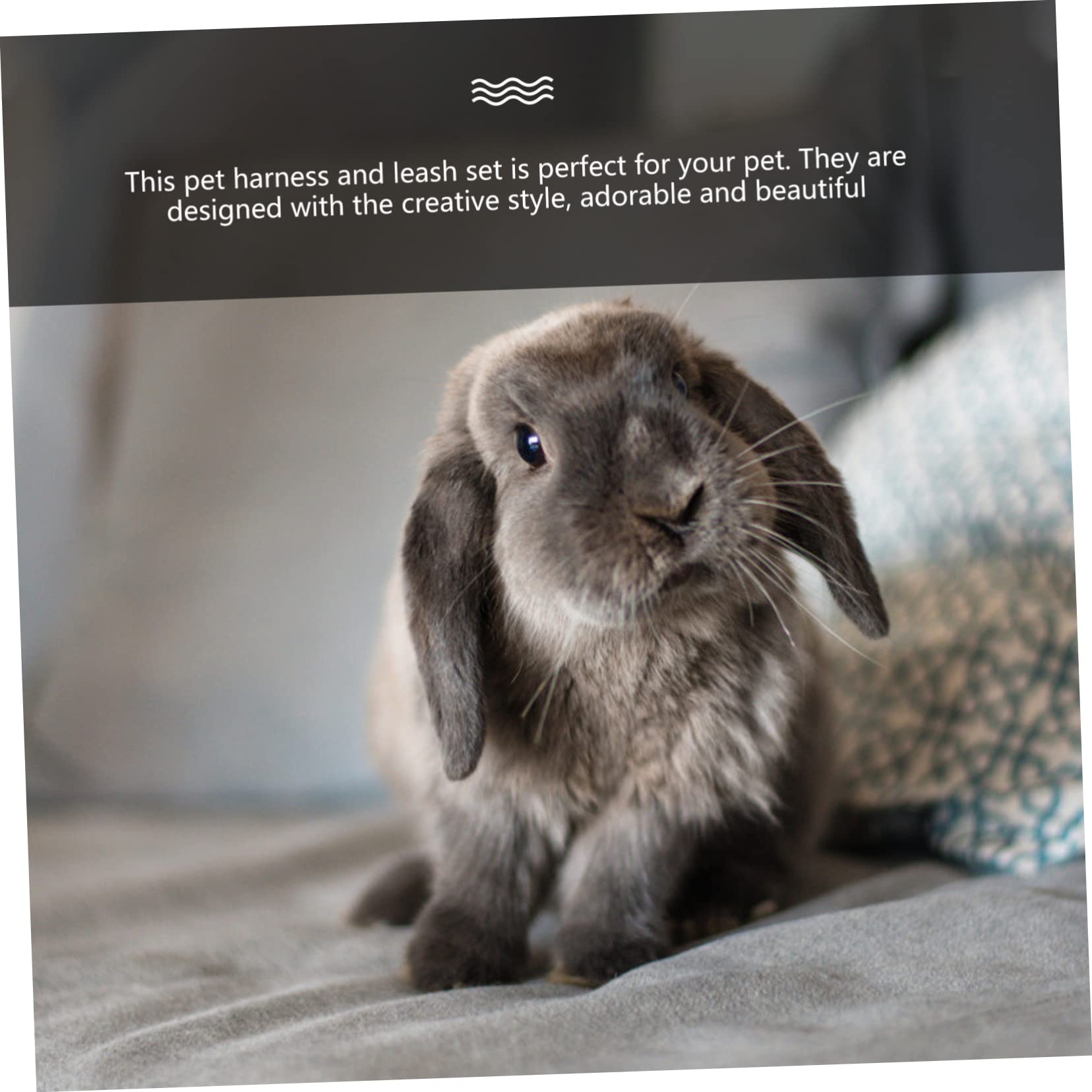 FOMIYES Set Di 2 Imbracature Per Animali Domestici Guinzaglio Per Furetti Porcellini Dindia E Criceti