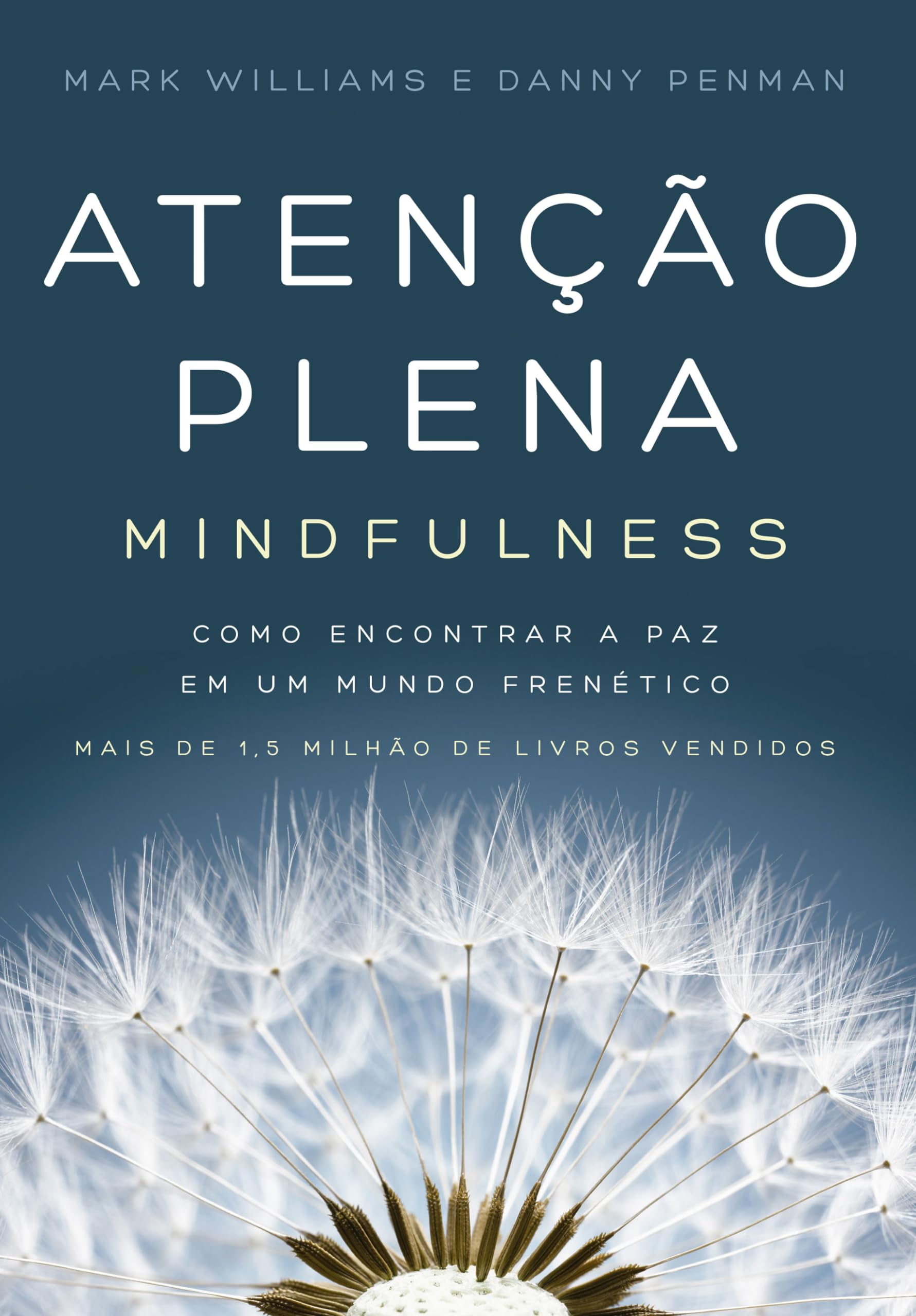 Atenção plena (Mindfulness): Como encontrar a paz em um mundo frenético Paperback – January 1, 2023