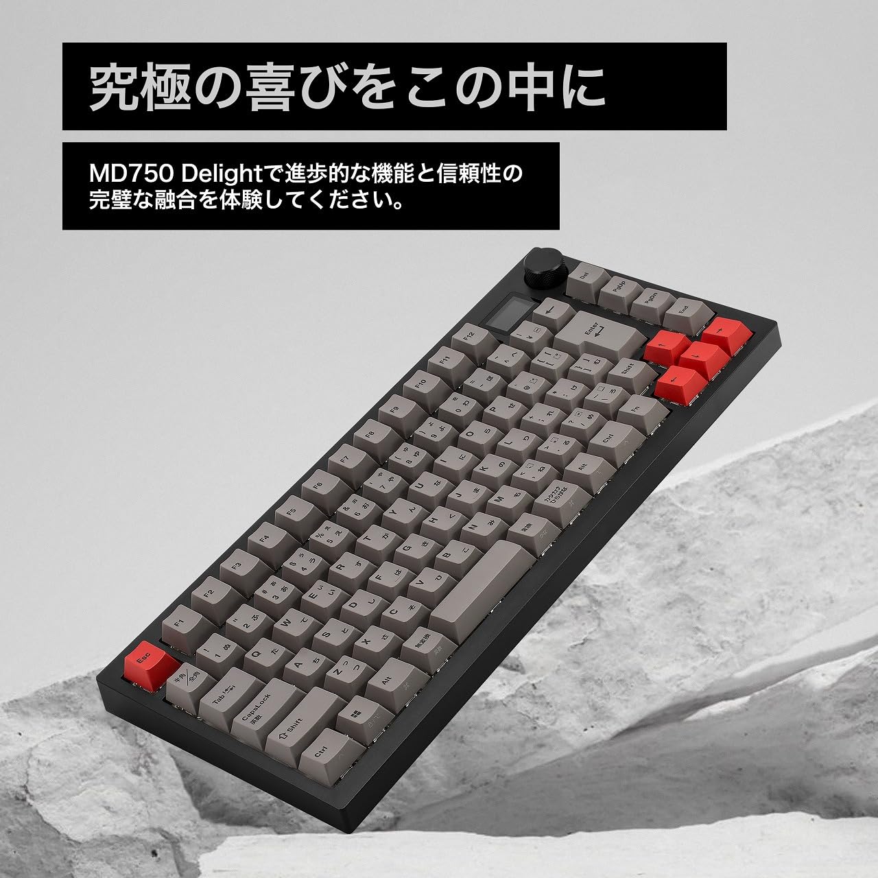 Amazon | BAROCCOMiSTEL MD750 Delight JIS (日本語配列/GATERON G Pro