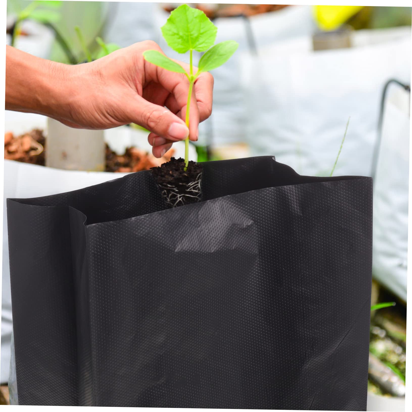 Toddmomy 100 Pièces Pochettes de Culture pour Plantes Extérieures et Arbres Fruitiers Sacs de Culture pour Fleurs, Légumes et Autres