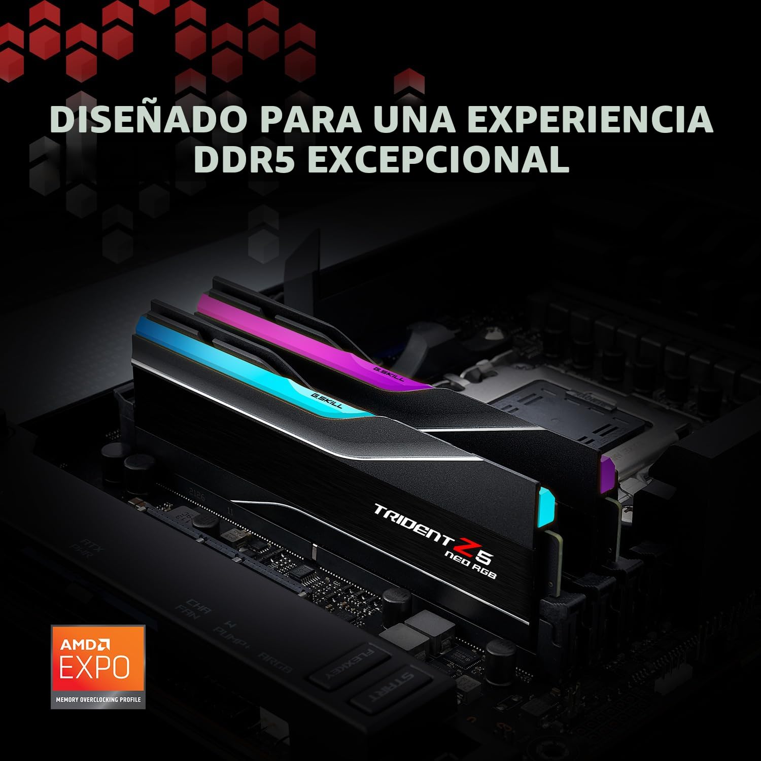 Amazon.com: G.SKILL Trident Z5 Neo RGB Series DDR5 RAM (AMD Expo