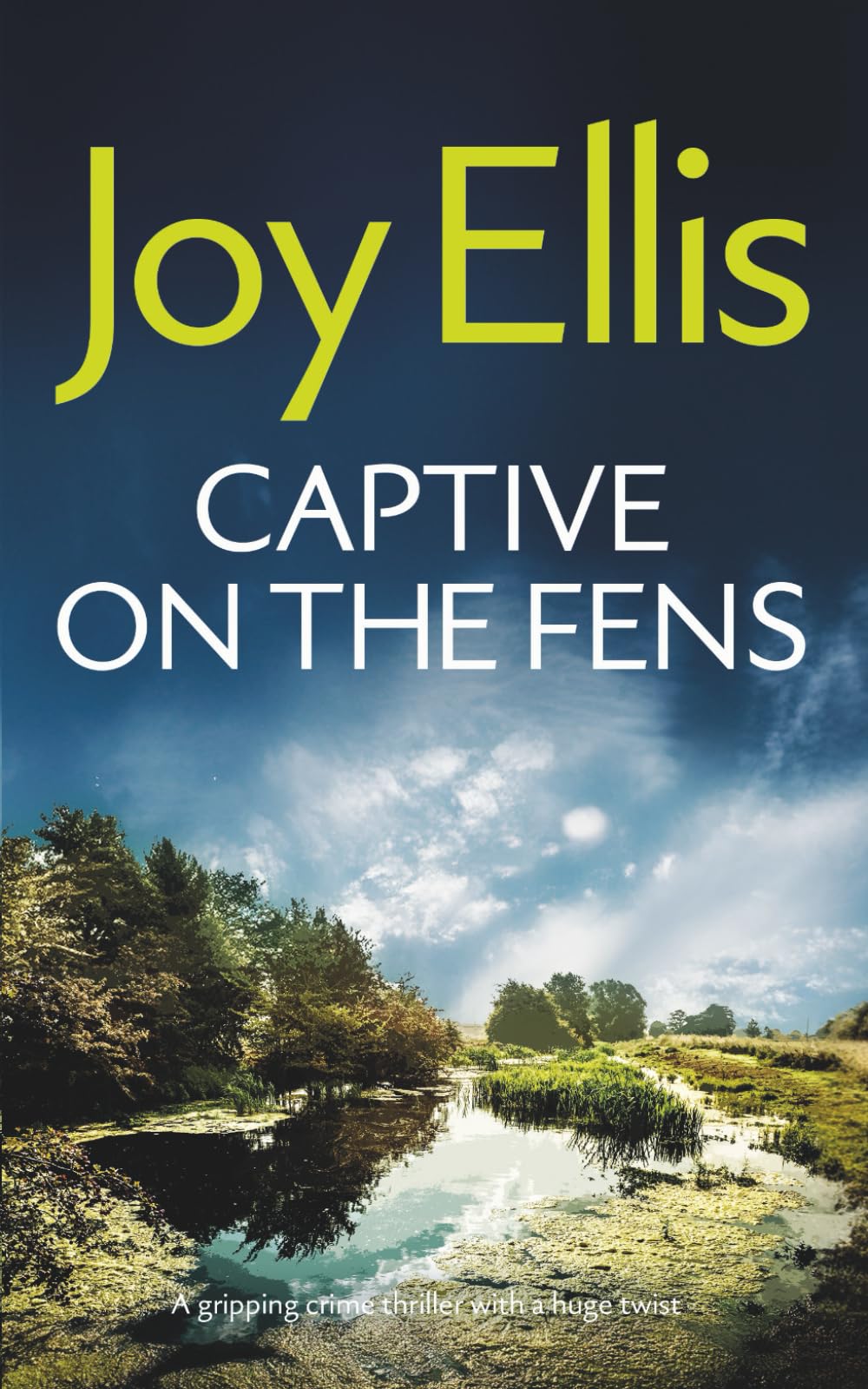 CAPTIVE ON THE FENS a gripping crime thriller with a huge twist (Detective Nikki Galena Mysteries)