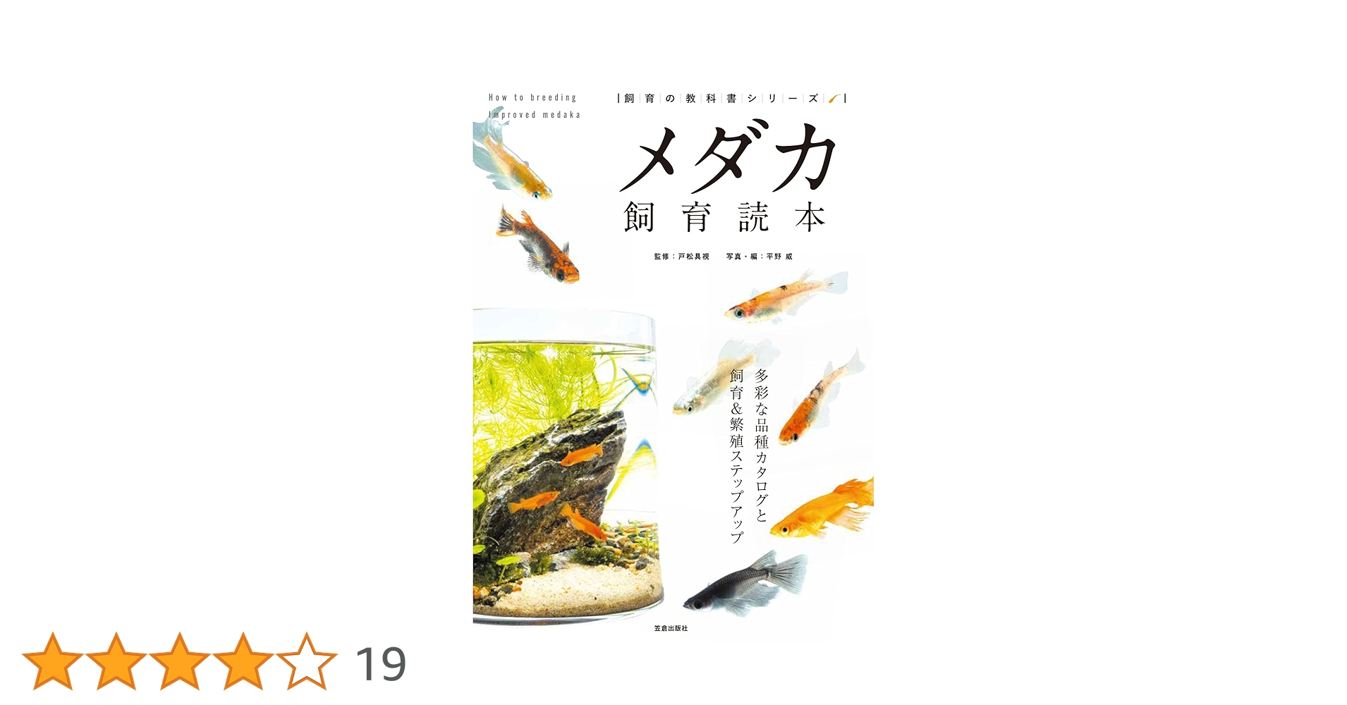 71ZGO3fXPRL.jpg_BO30,255,255,