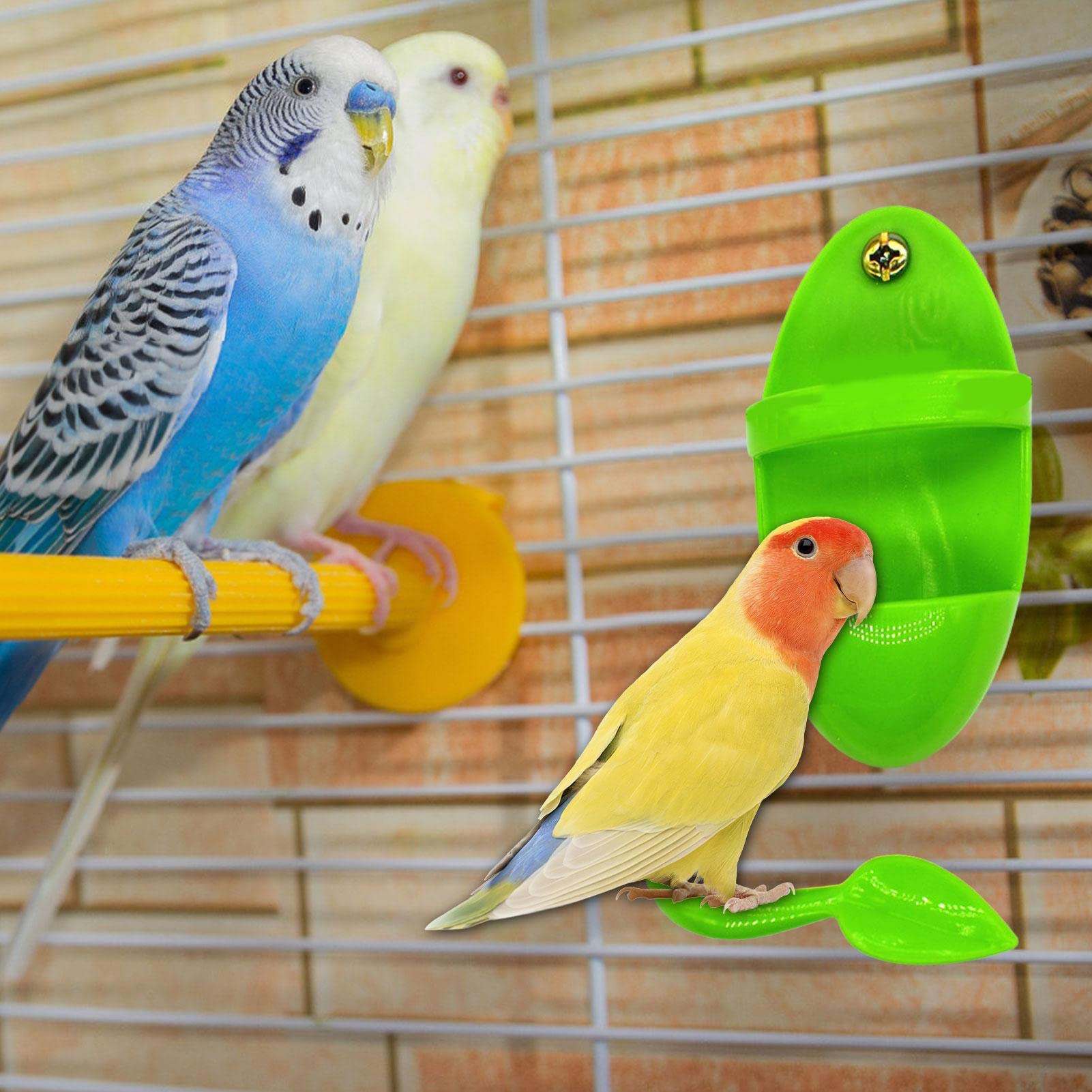 Porte-os de seiche pour Cage à Oiseaux | Cuttlebone Stand Cuddle Bone Feeding Cup Rack - Os de seiche pour becs Pointus, Oiseaux naturels Calcium Perroquets Calopsittes Perruche
