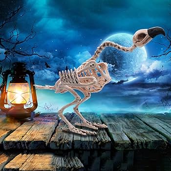 JOYIN Halloween Dackel-Skelett - 61 Cm Gruselige Hundeknochen-Deko