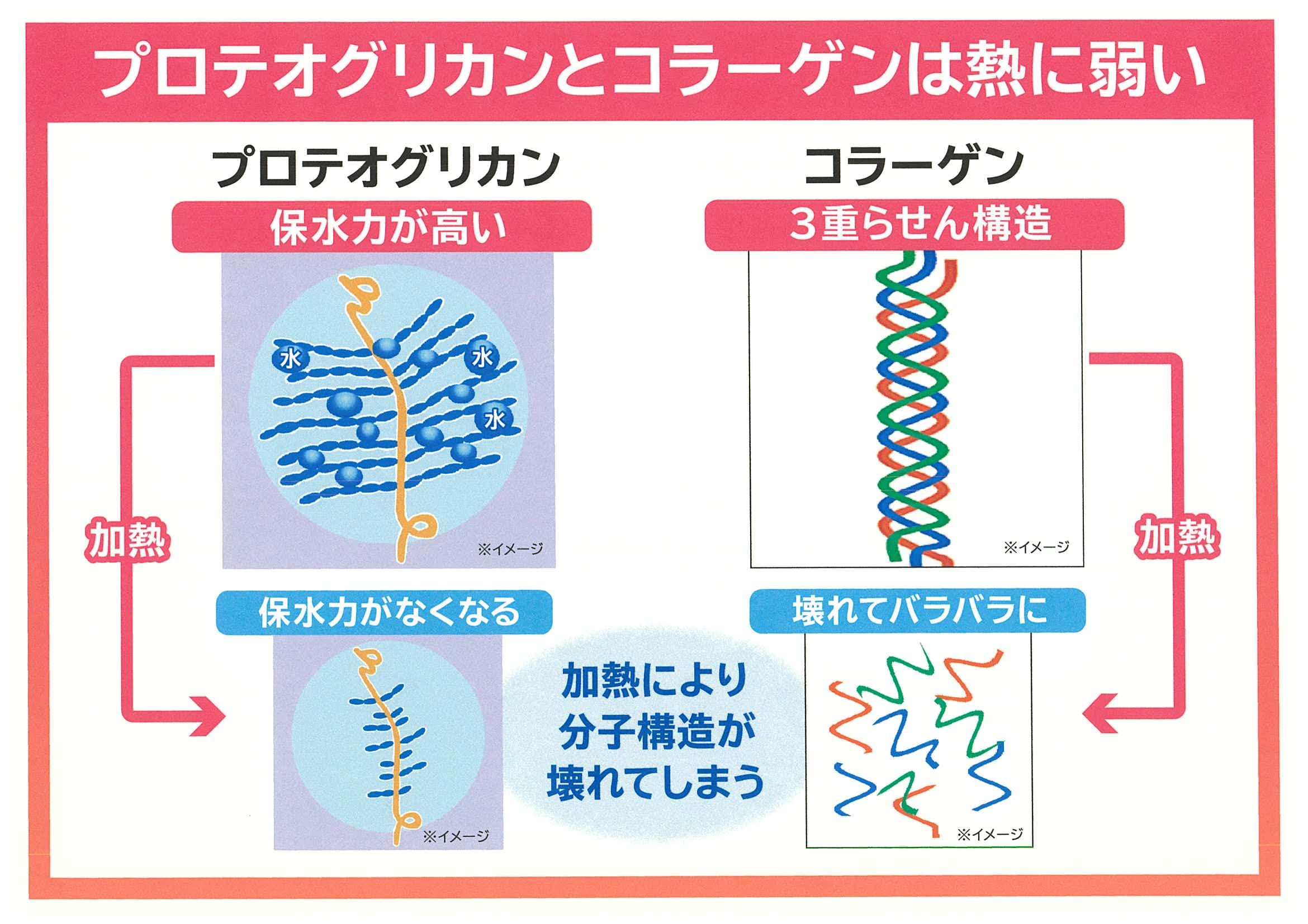 Amazon | プラーゲン 生コラーゲン 生プロテオグリカン 国産 健康生活