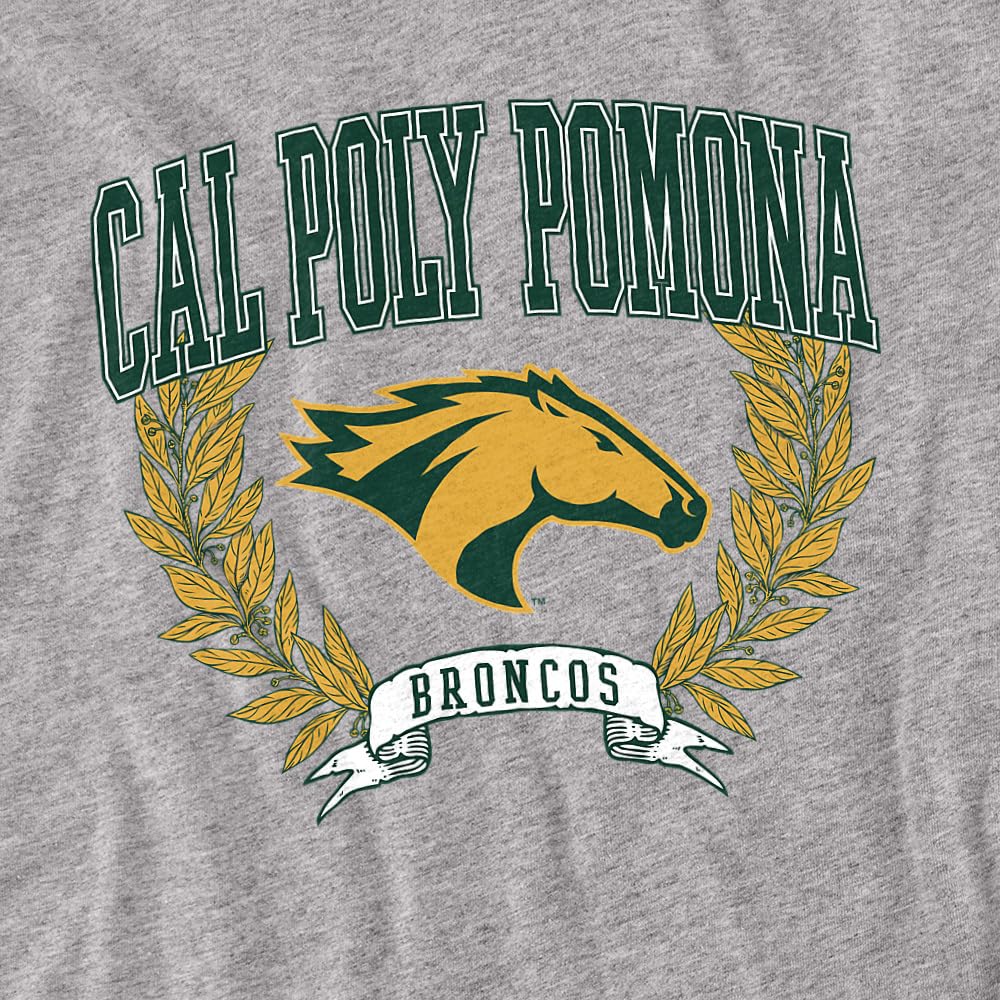 LOGOVISION California State Polytechnic University Pomona Laurels Dark Kids T Shirt (2) for Toddler Boys and Girls, Athletic Heather