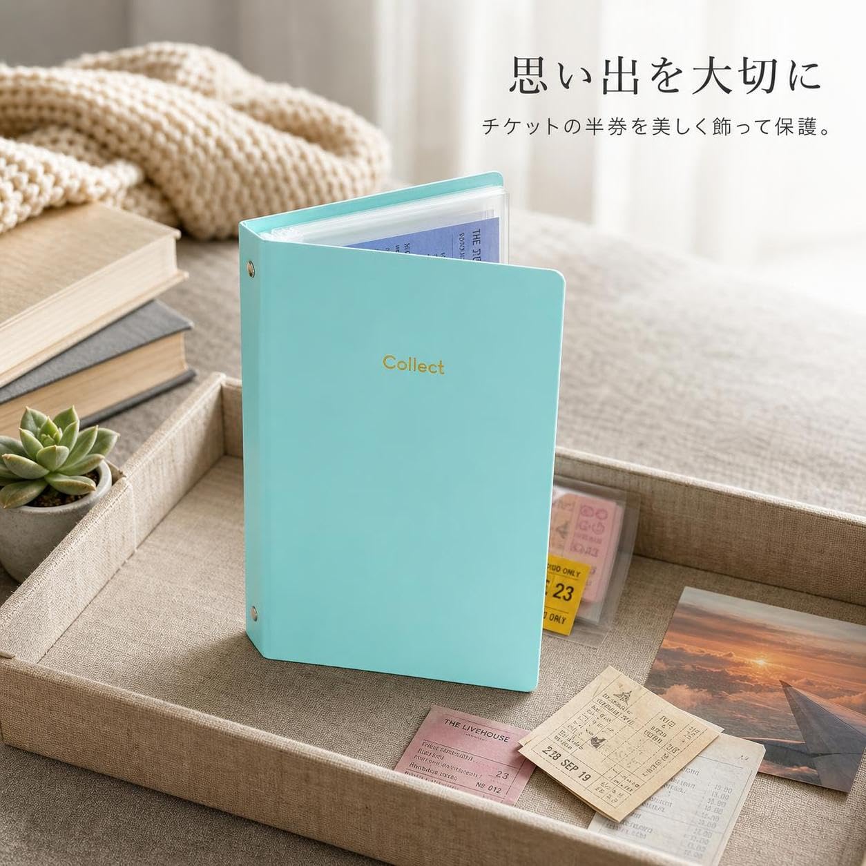 Collezione biglietti a 3 fori, verde, 2 griglie interne pagine 20 pagine