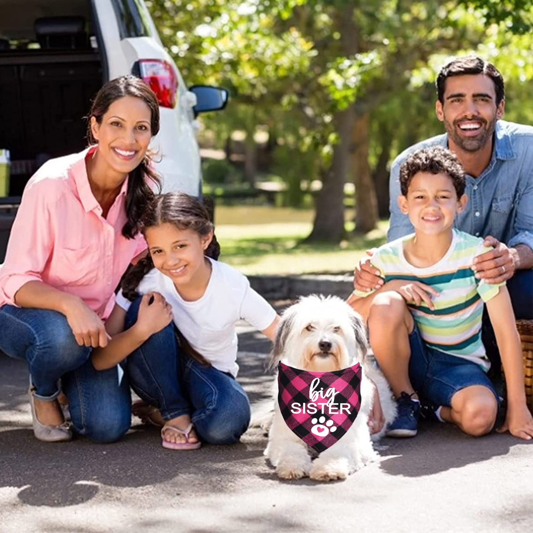 Bandana per Cani Big Brother Big Sister Blu Rosa