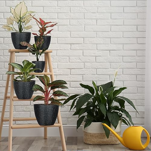 Miniatura 10 de 4 macetas de riego automático, maceta de 6 pulgadas con orificio de drenaje y depósito de gran capacidad, macetas para plantas con platillo, macetas