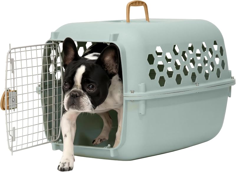 Caixa de Transporte Rígida para Gatos e Pequenos Animais SportPet Designs, com Porta Frontal e Ventilação, Aqua – até 11,34 kg