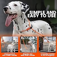 Vista 2 de Howgo Correa antideslizante para perro, correa de entrenamiento, correa y collar antideslizantes sin tirones, nailon resistente y duradero, mango