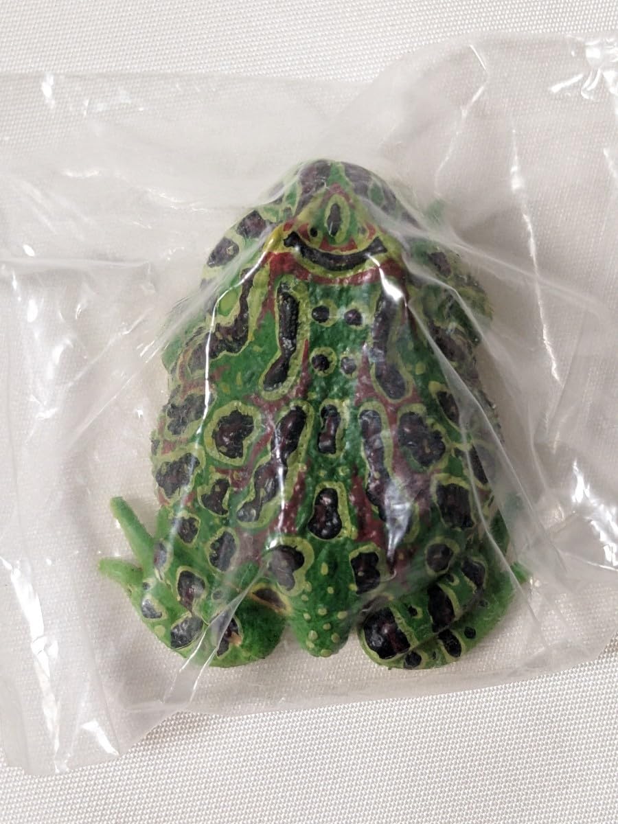 Amazon.co.jp: 原色 両生類カエル図鑑 ベルツノガエル
