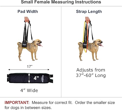 Miniatura 2 de GINGERLEAD Arnés de soporte para eslinga de perro, SM hembra se ajusta a mascotas de tamaño pequeño a mediano o perros de pecho más ancho como