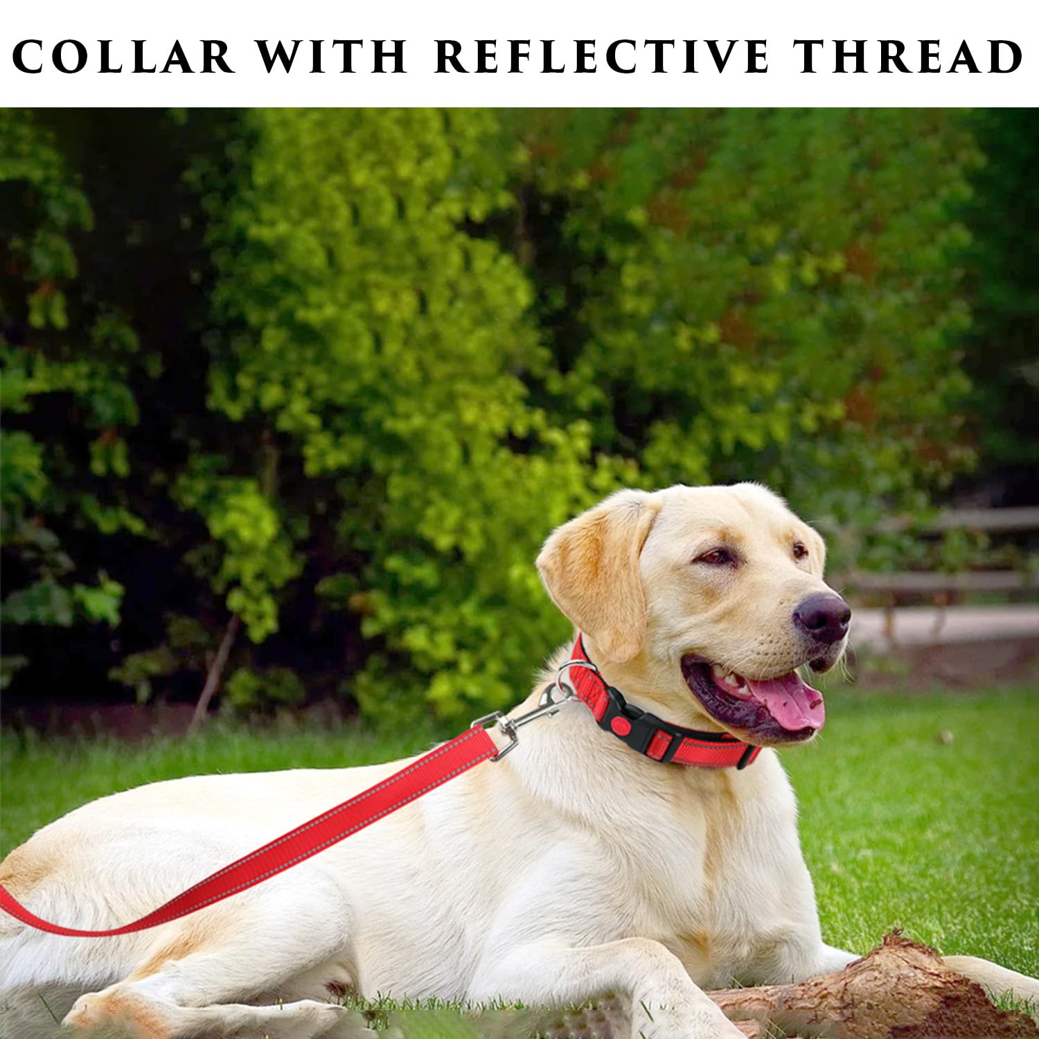 Reflective Nylon Dog Collars, Adjustable Classic Dog Collar, Dog Collar, Collar, Black Buckle Reflective Collar - Image 4