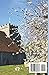 Isle of Wight Travel Guide 2025: Smart Tips for Simple Planning and Carefree Exploration