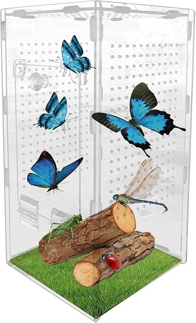 Foto 6 de 6 de Terrario para Arañas Saltarinas,Habitáculo Acrílico para Arañas y Tarántulas