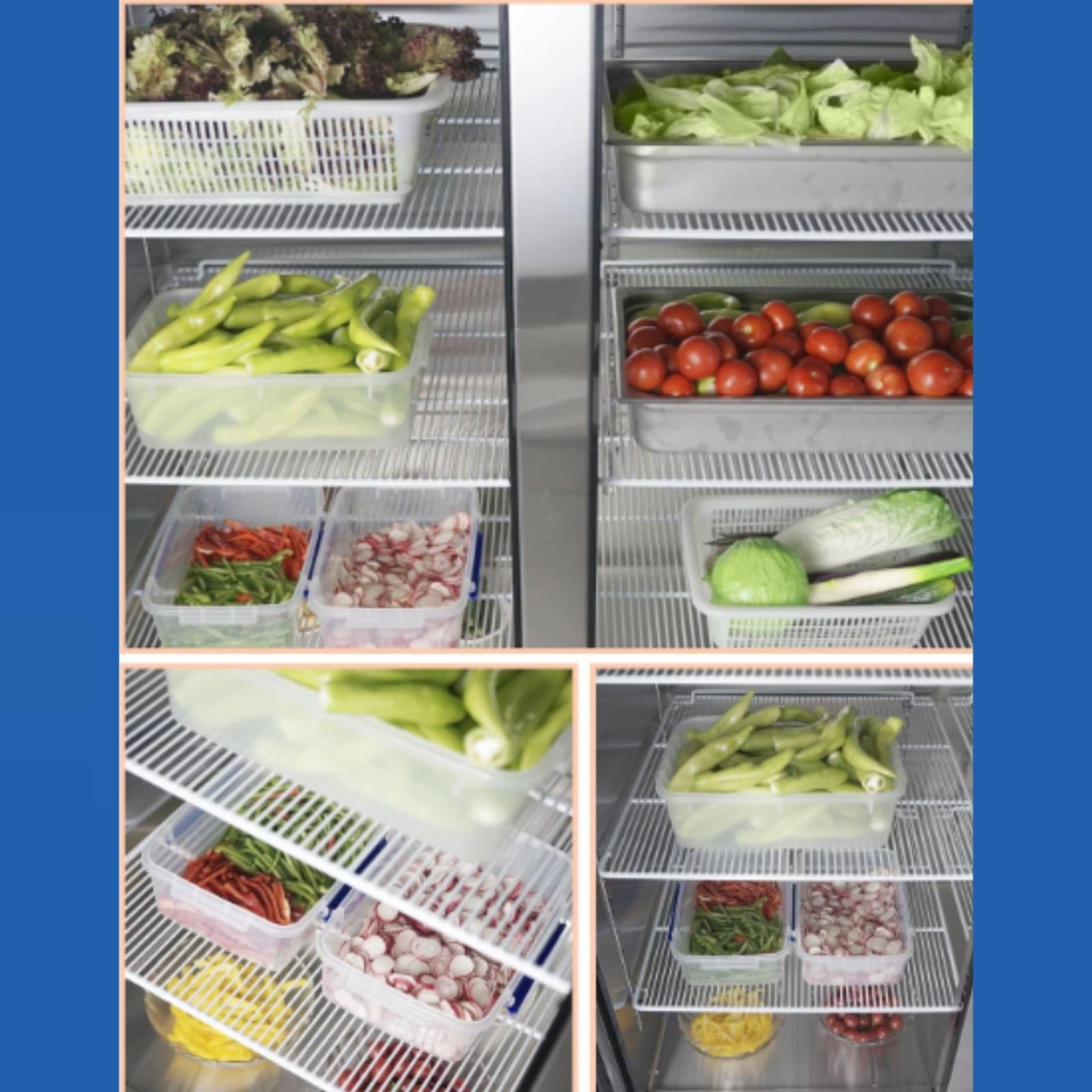 Amazon.com: ATOSA MBF8503 Commercial 2 Door Freezer, Energy Star