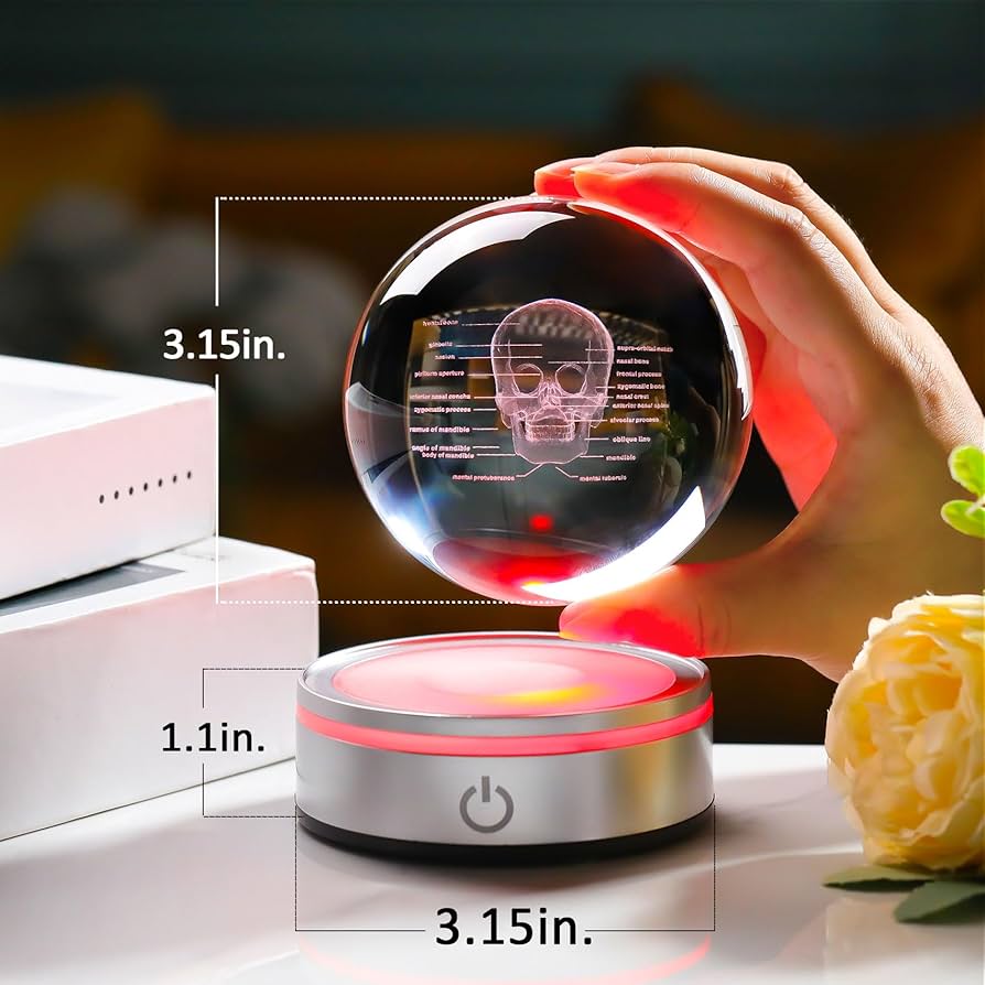 3D クリスタル　歯 Amazon.co.jp: Enjinkail Tooth Model 3D クリスタルボール 歯科