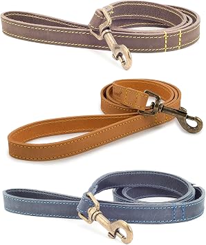 Ancol Timberwolf Leather Dog Lead, 1 m, Sable