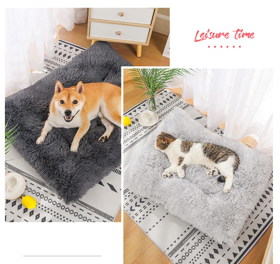 Hundebett Waschbar,Plüsch Flauschig Hundekorb Hundebett,Haustierbett,Hundesofa,Hundekissen,Rutschfestes Hundematte,Weich & Bequem,für Kleine,Mittlere Große Hunde Katzen,Dunkelgrau
