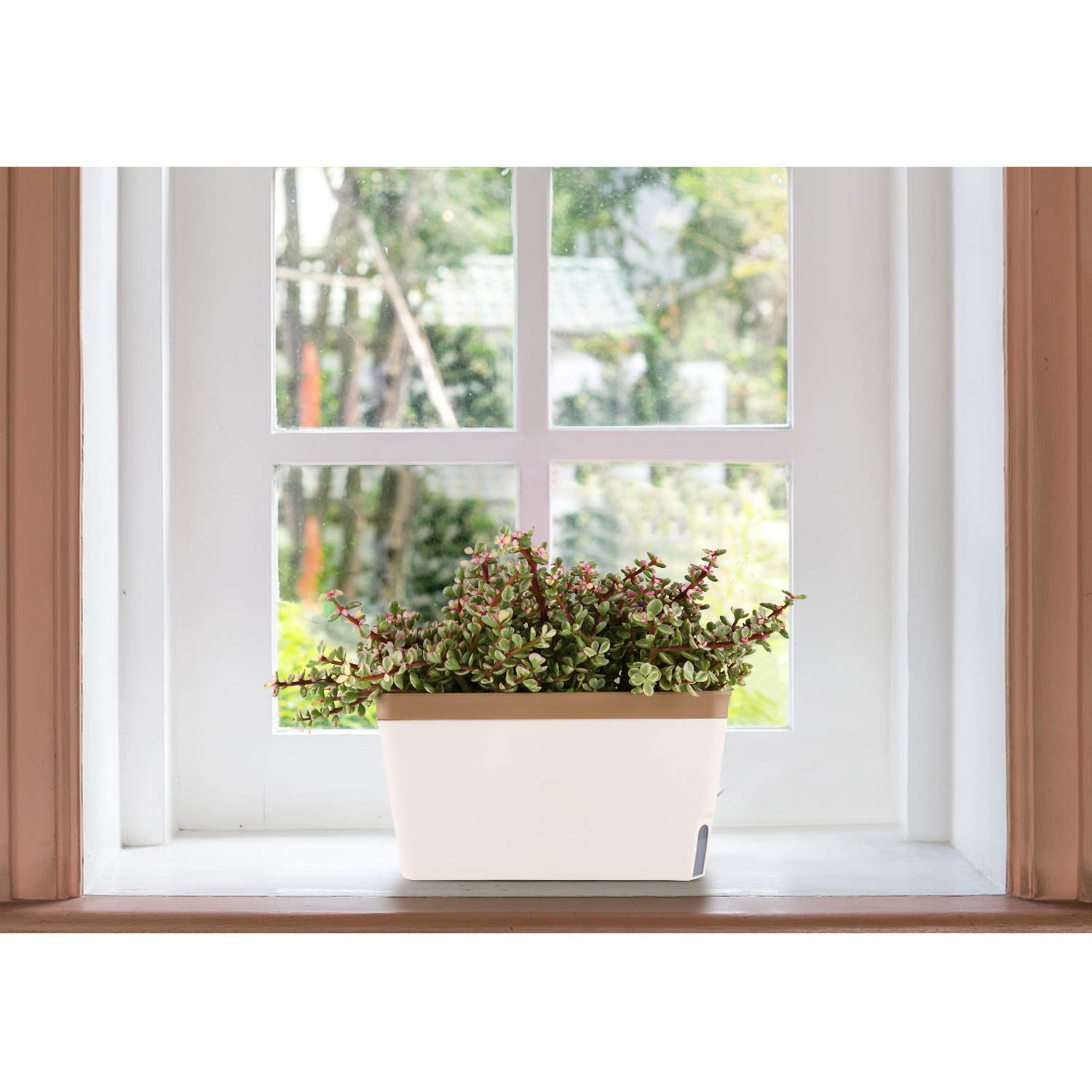 T4u Maceta autorriego Rectangular 27 cm, Set 3, maceteros Decorativos Interior, Plantas pequeñas hogar Oficina, riego reducido, Uso práctico, no Apto Vegetales Grandes sensibles Humedad
