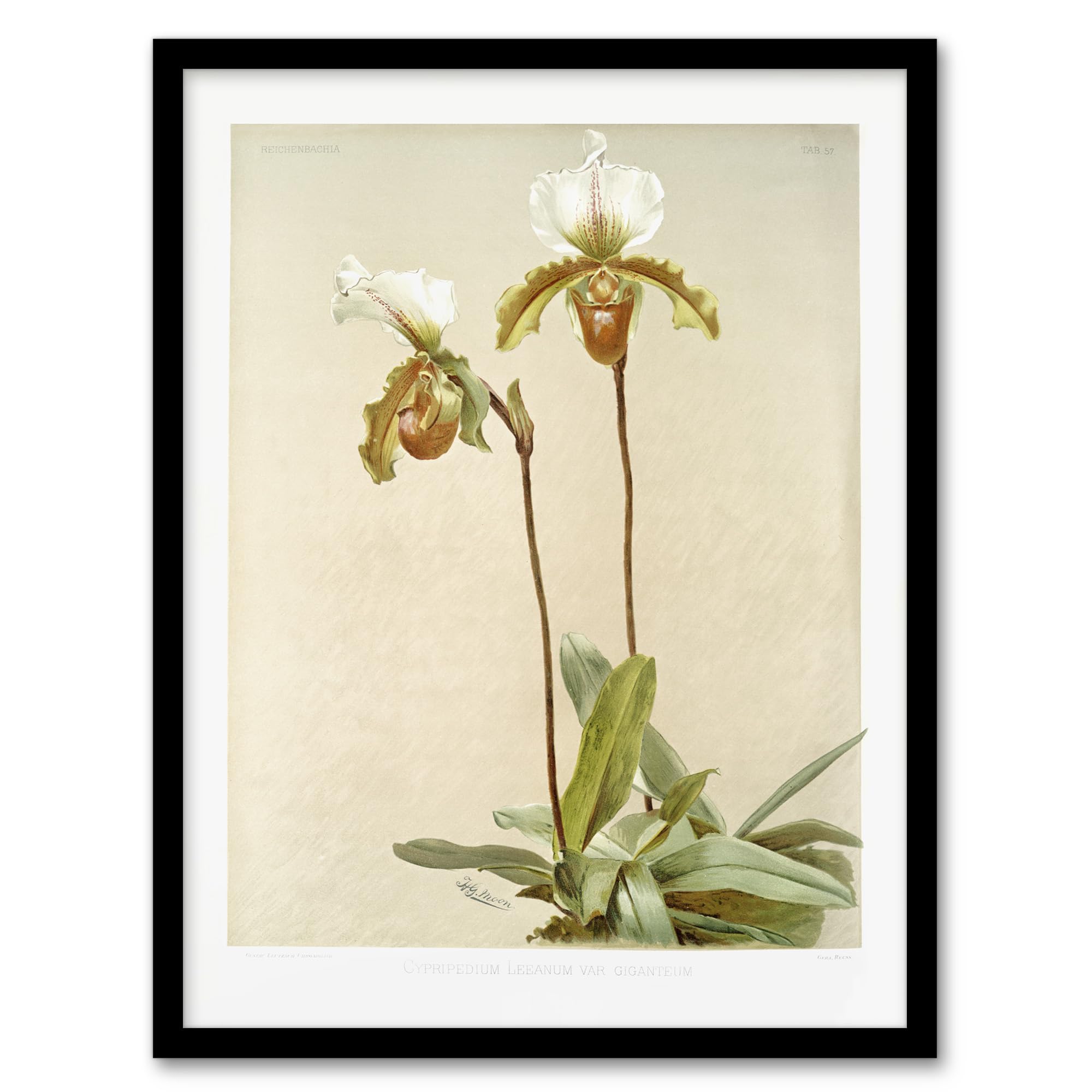 Artery8 Framed Print - W12" x H16"
