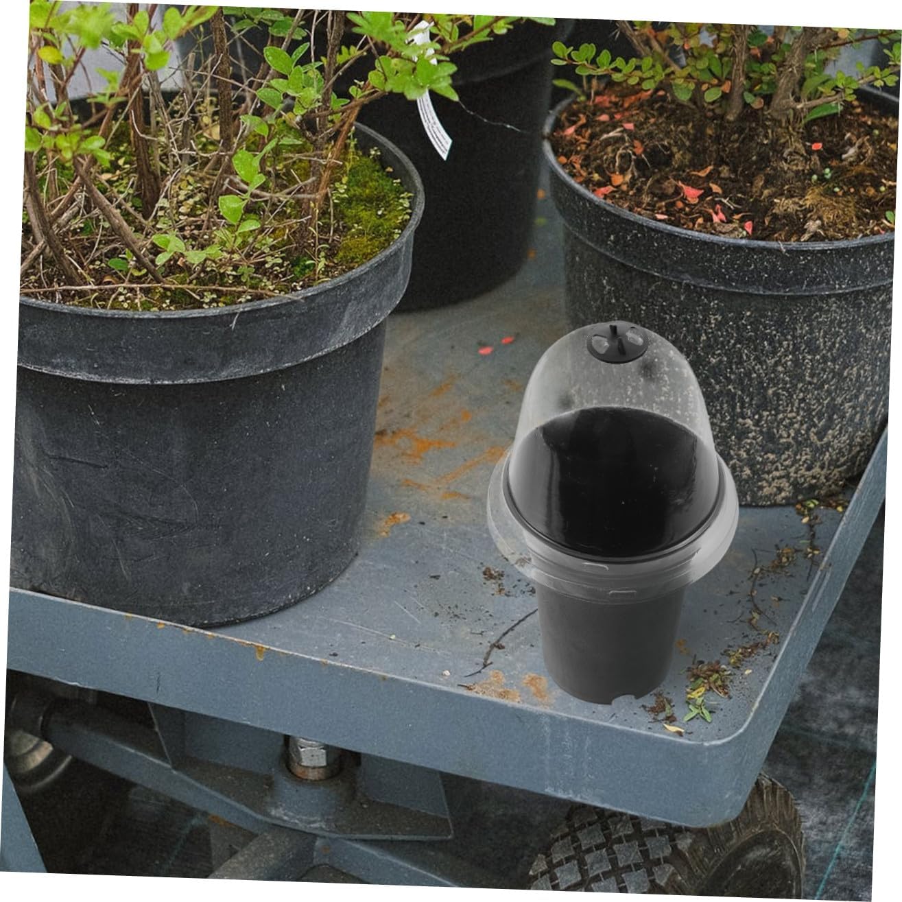POPETPOP Garden Planter Stuffy Planting Pot Dome Plastic Plant Nursery Pots Flower Plant Containers