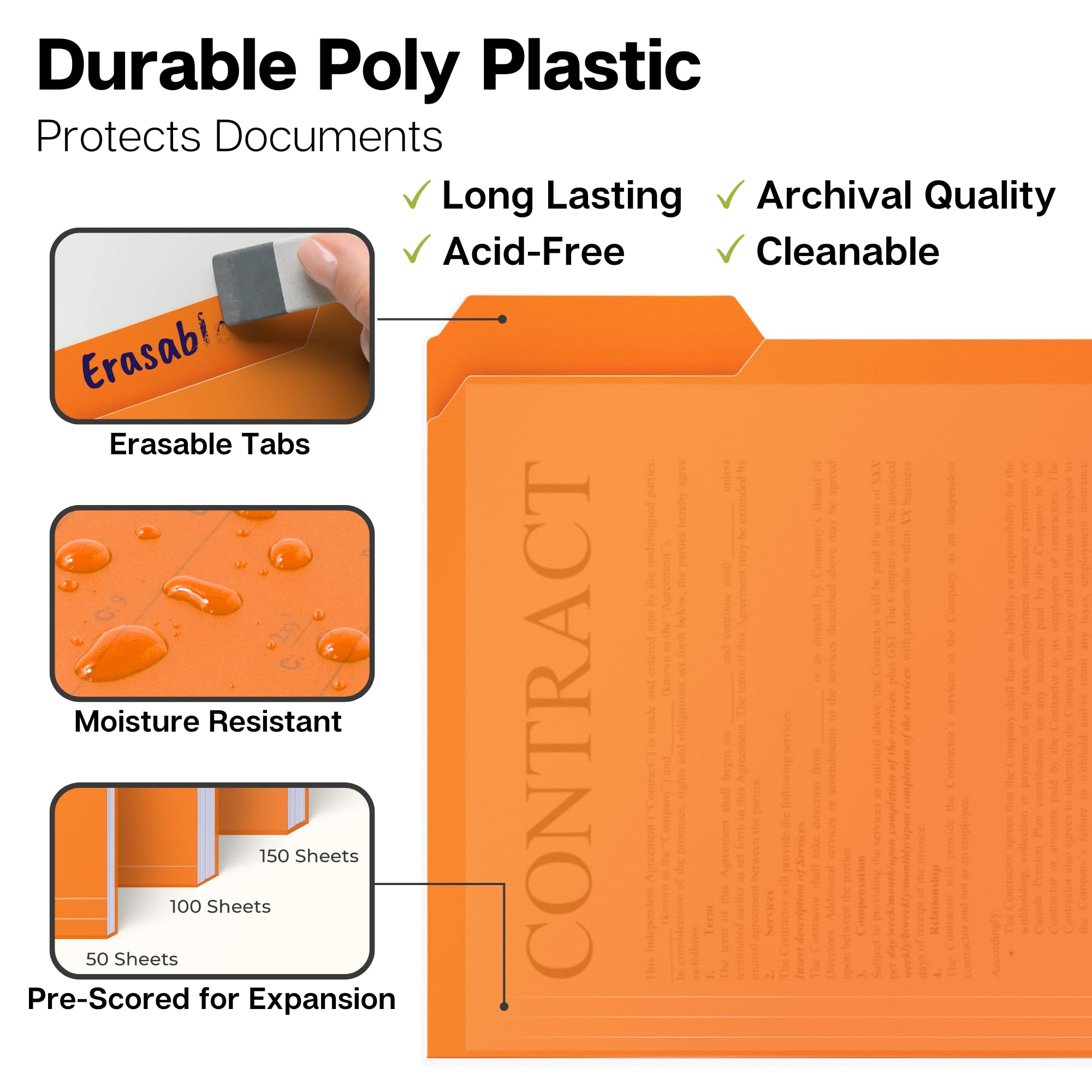 Snapklik.com : Dunwell Plastic Colored File Folders