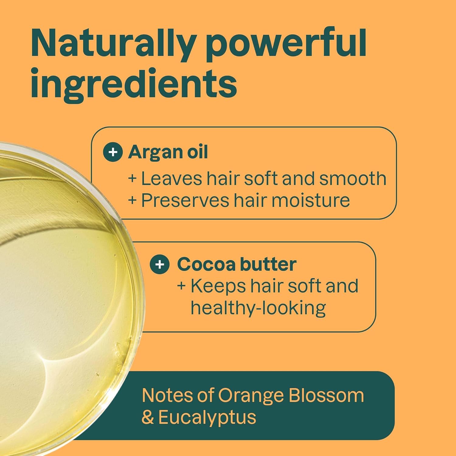 ATTITUDE Volume & Shine Conditioner Bar, Natural Origin, for Thin and Flat Hair, Argan Oil & Cocoa Butter, Clean Ingredients, Vegan, Orange Blossom & Eucalyptus Scent, 3 Oz - Image 3