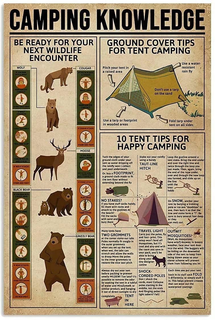 Tin Sign Camping Knowledge Metal Sign,Garage Man Cave Decoration Club Bar Sign Novelty And Interesting Bathroom Wall Decoration 8X12 Inches