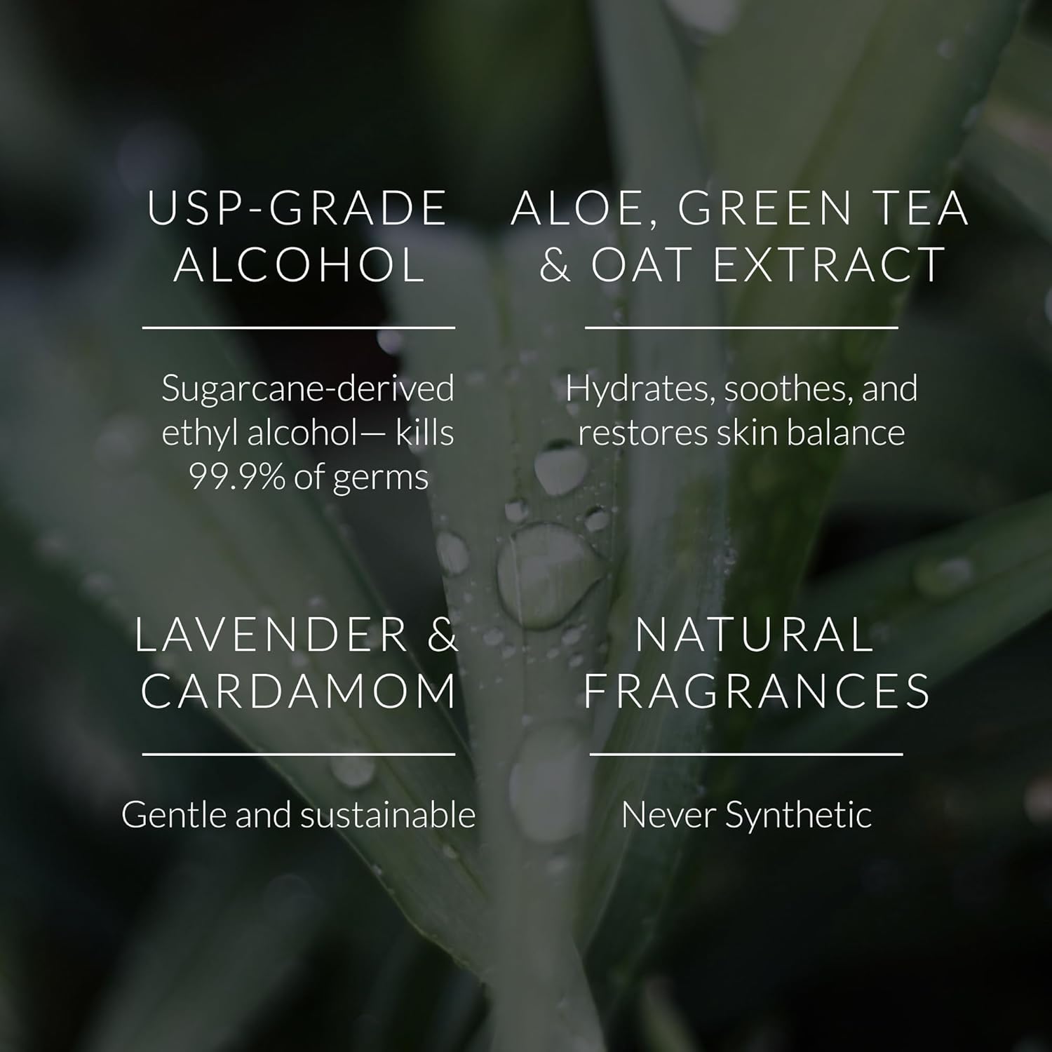 Noshinku Discovery Hand Sanitizer Wipes, 3-Pack (45 Towelettes) – Resealable Travel Wipes with Ethyl Alcohol, Aloe & Green Tea, Plant-Based Fiber, Essential Oil Scents, Cruelty-Free & No Dyes - Image 5