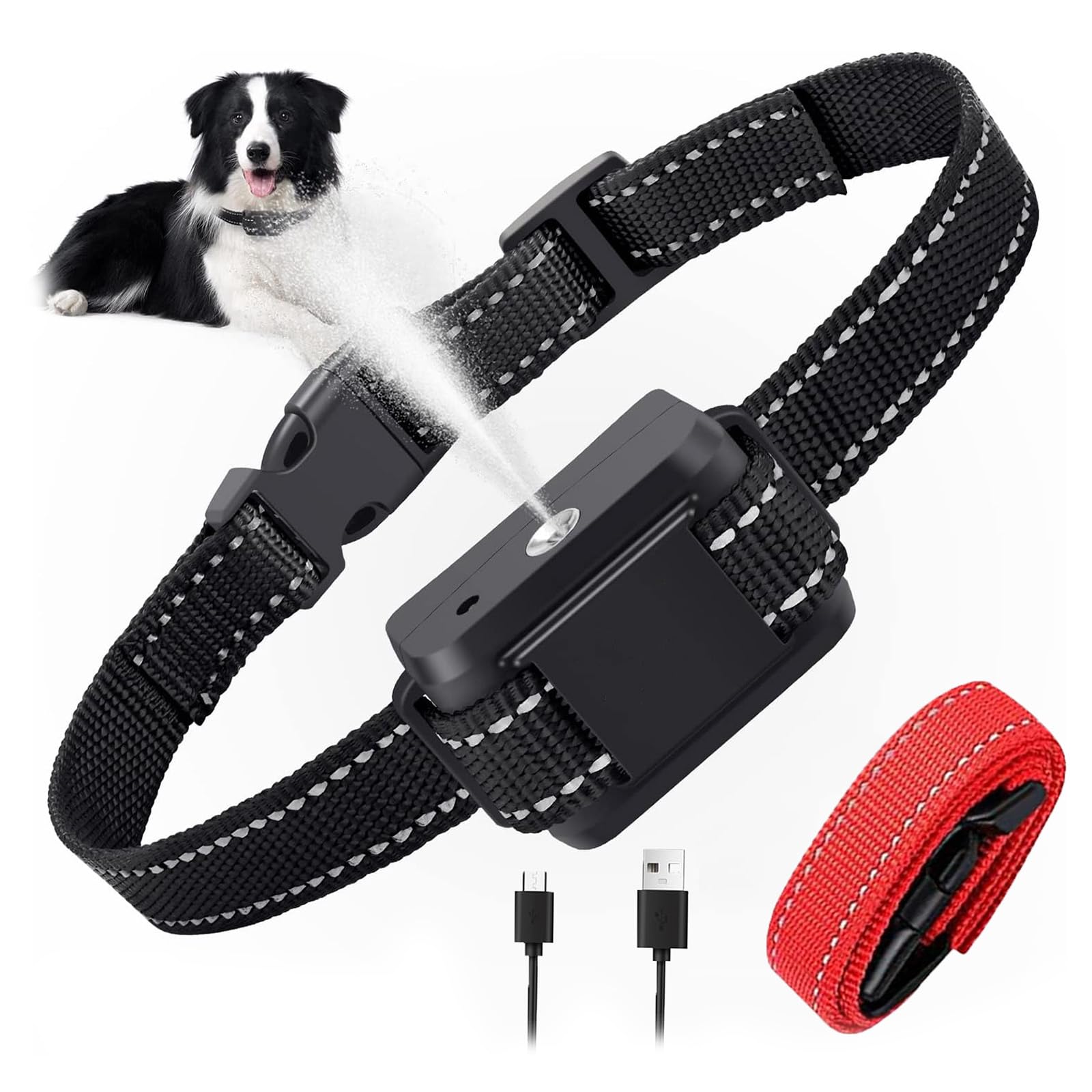 Collier lumineux pour chien (design à double sangle), luminosité réglable, collier pour chien rechargeable (noir)