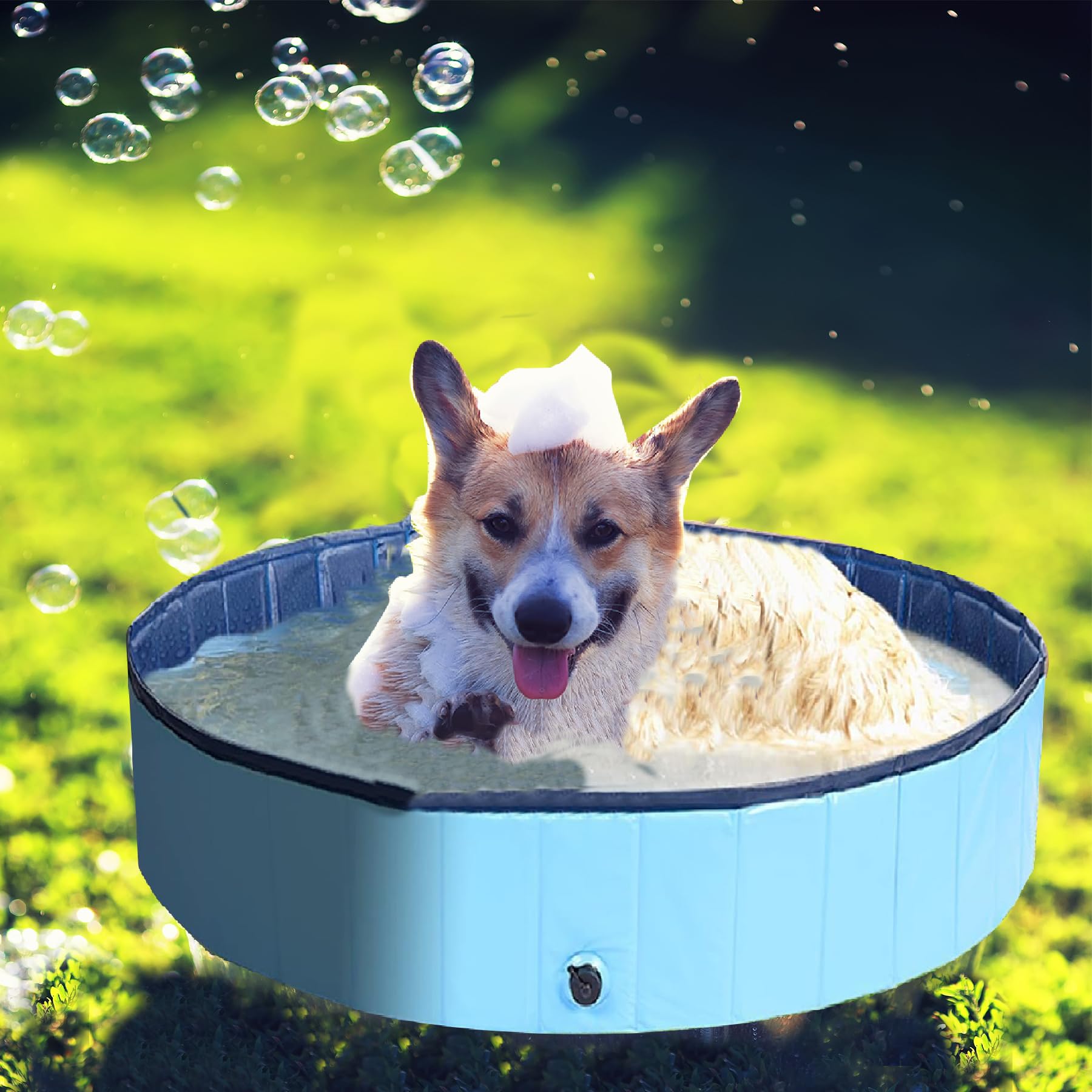 Zegupal Piscina para perros grandes y pequeños, plegable, antideslizante, 80 x 20 cm, piscina para perros engrosada de PVC, resistente al desgaste, piscina de chapoteo para perros, bañera para perros