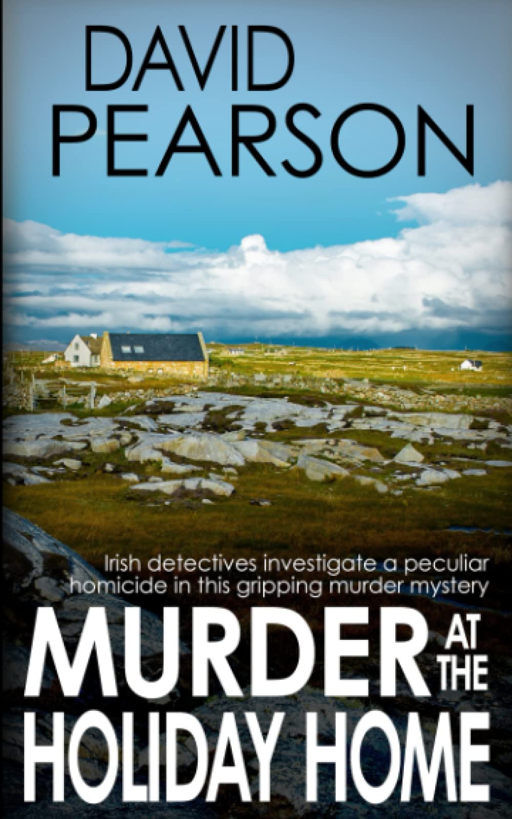 MURDER AT THE HOLIDAY HOME: Irish detectives investigate a peculiar homicide in this gripping murder mystery (The Galway Homicides)