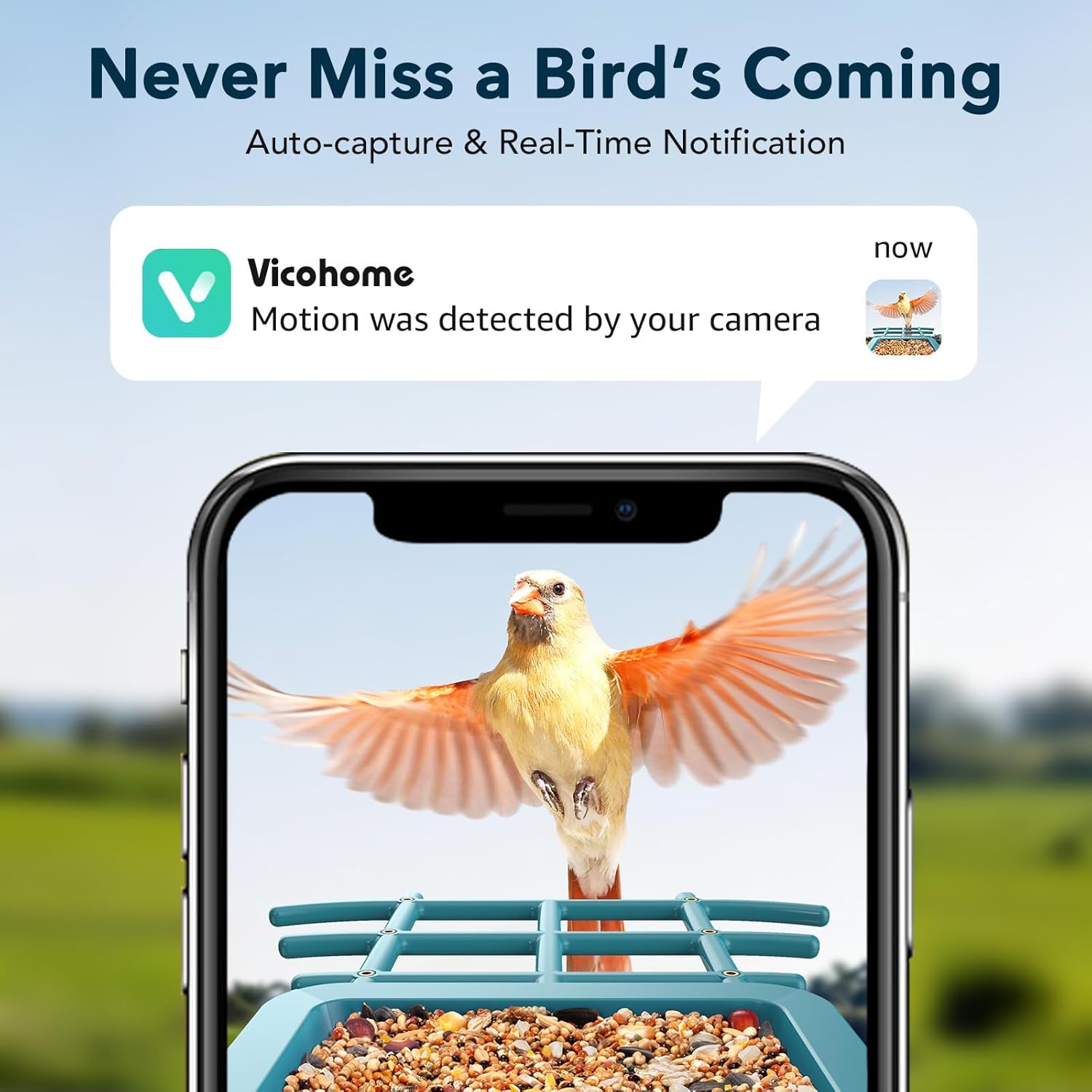 peckcam® bird feeder with camera solar powered, ai identify & auto capture with 32gb card, 2k hd live video smart bird feeder camera instant notifications in backyard, gift for bird lovers light blue