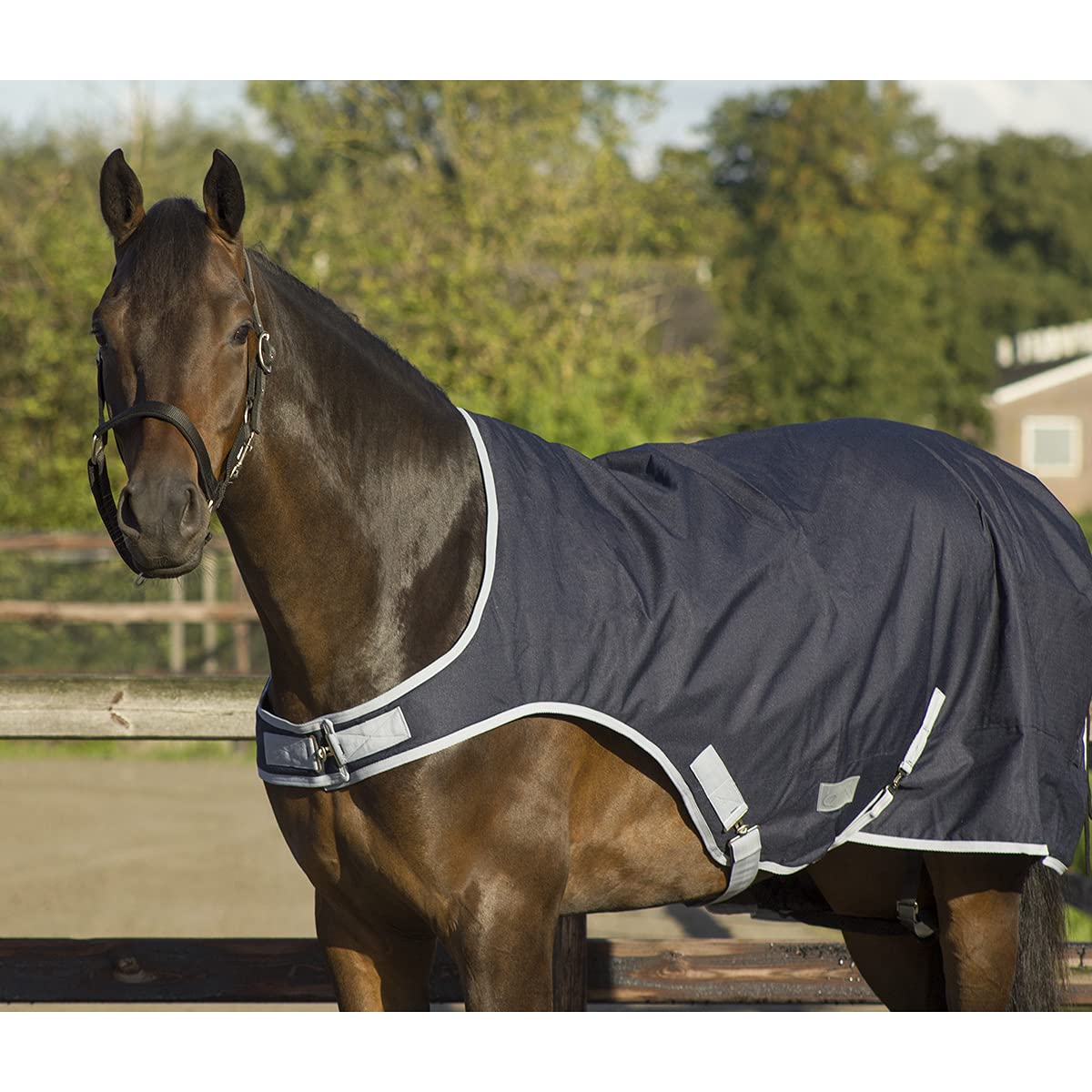 DKR Sports Coperta per Cavalli QHP