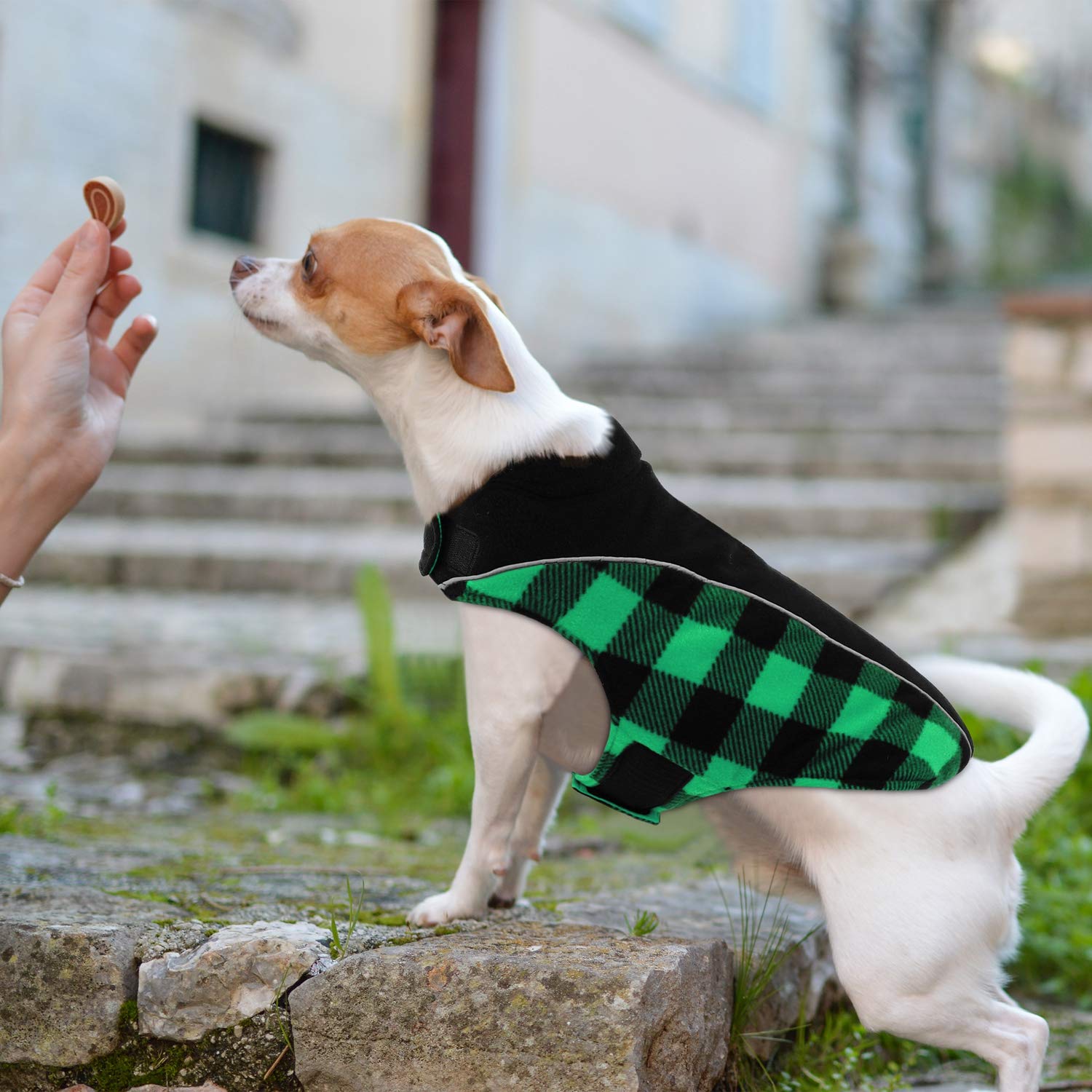 CITÉTOILE Cappotto per Cani Antivento, Giubbotto Invernale Cane Reversibile di Taglia Piccola/Media/Grande, Giacca Gilet Invernale Cane con Foro per Imbracatura, Riflettente, Verde, M
