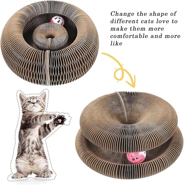 Foto 5 de 7 de Kitten Curl, Kitten Curl Toy, Kitten Kurls Cat Toy