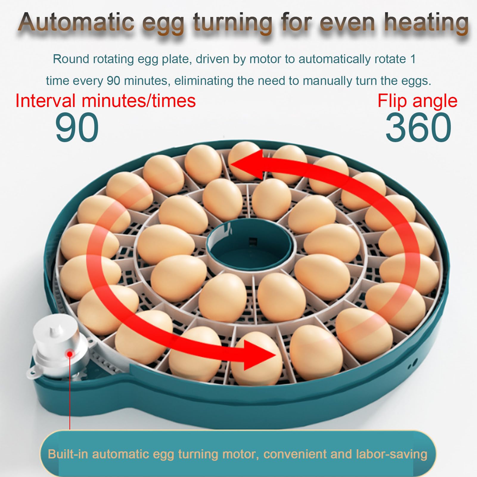 Incubadora automática de huevos con volteador y control de temperatura, apta para 15 o 30 huevos, ideal para uso doméstico en granjas