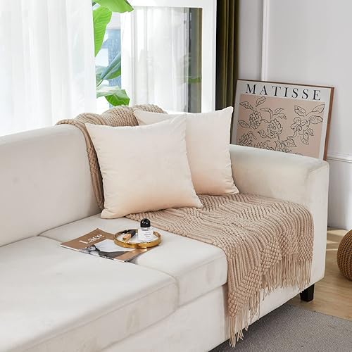 Miniatura 8 de Juego de 2 fundas de almohada de terciopelo suave y grande de 24 x 24 pulgadas, fundas de cojín cuadradas decorativas de Navidad para sofá, cama,