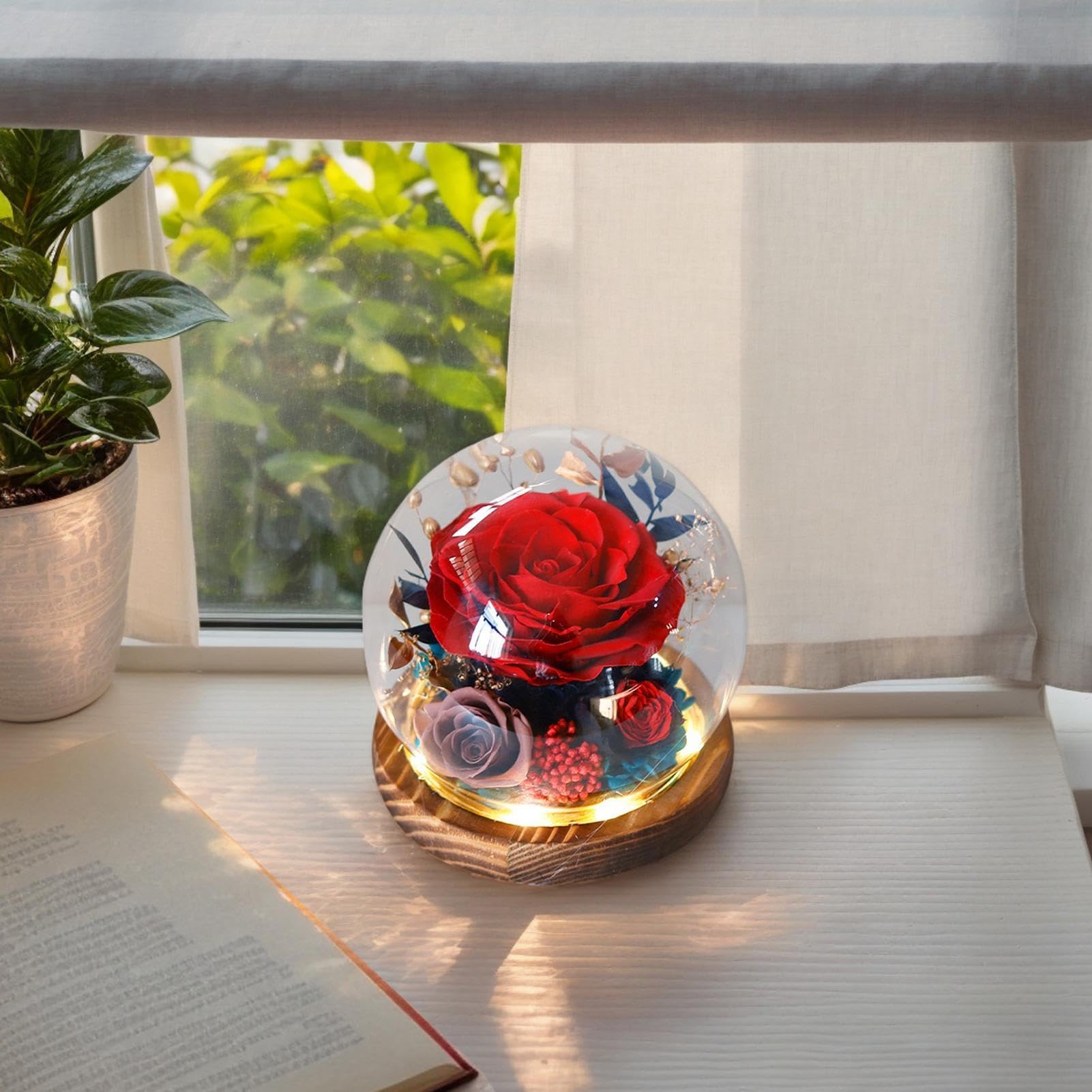 r0se Ornamenti – Fiori eterni in globo di, r0se eterno, conservato