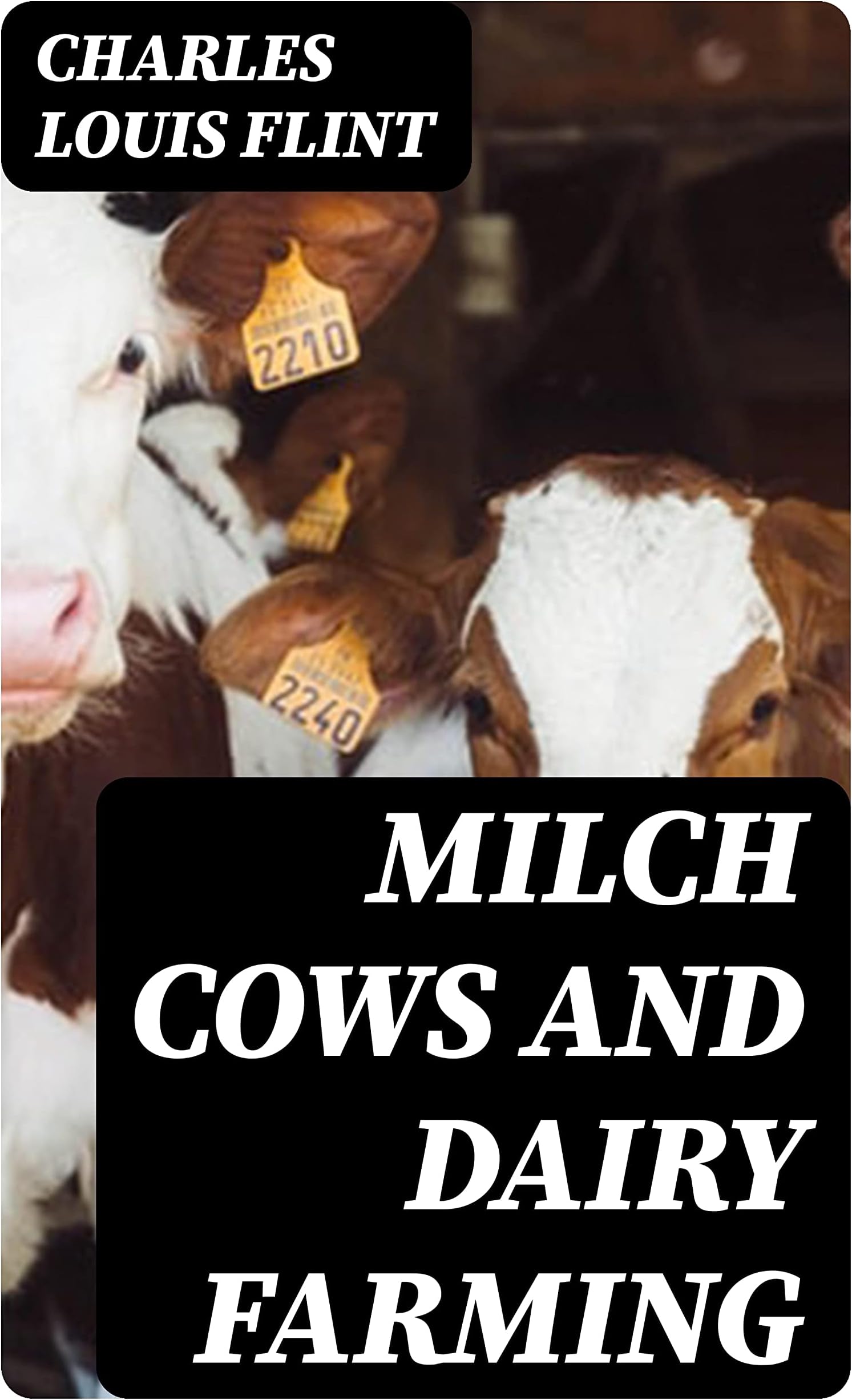 Milch Cows and Dairy Farming